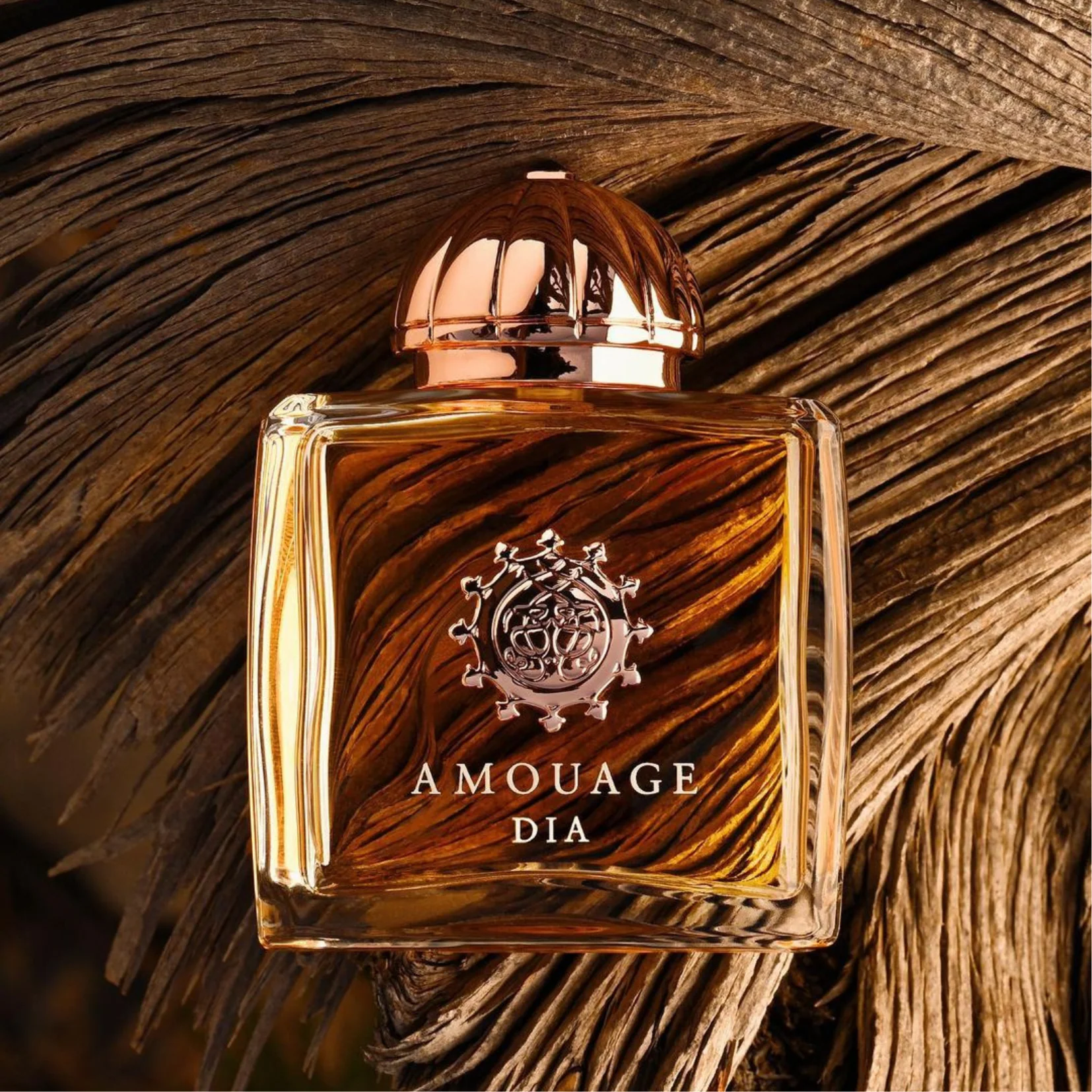 Amouage DIA - Görsel 4